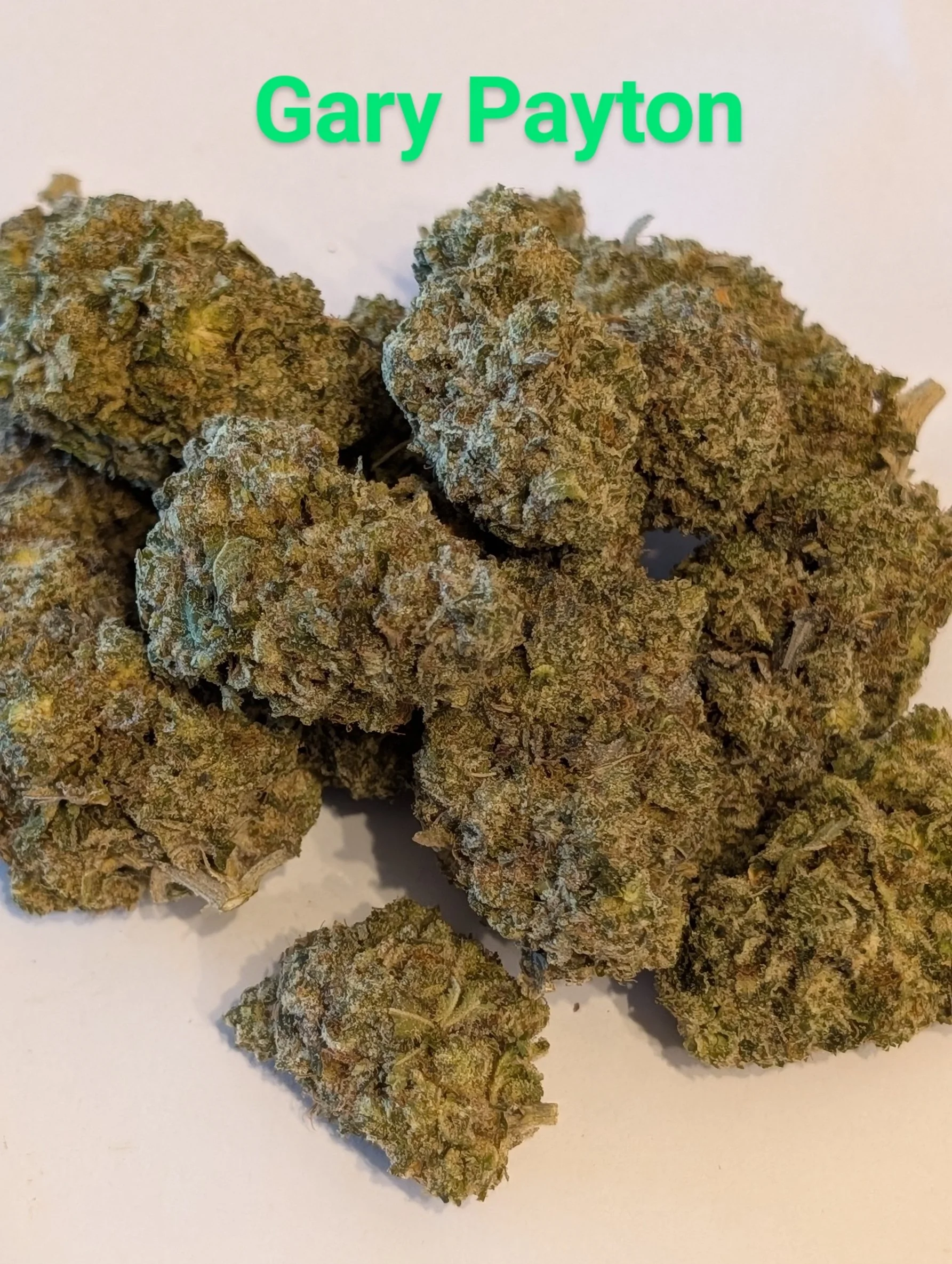 mcfly's 2.0 - Gary Payton 3.jpg