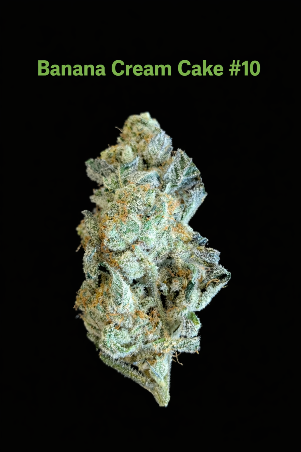 BANANA CREAM CAKE #10 - FIRE HANDLER EXOTICS