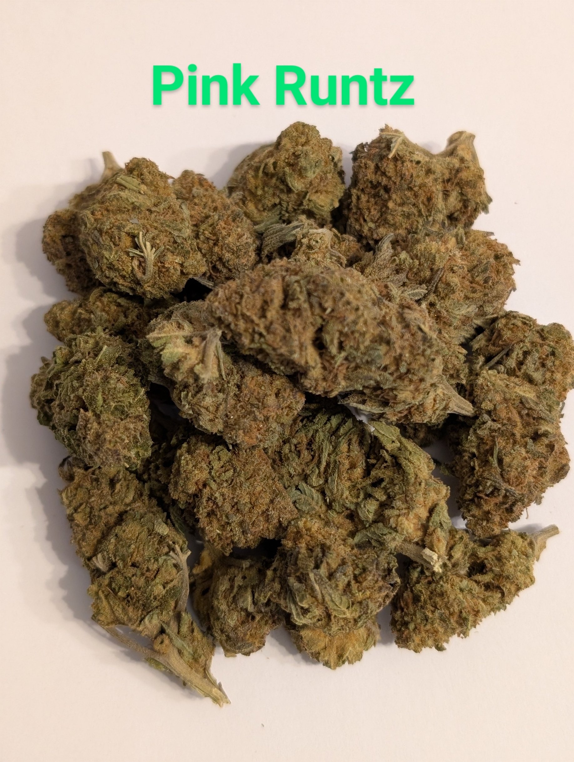 PINK RUNTZ 3 MIDS.jpg