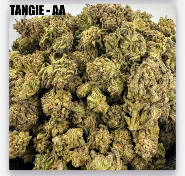 TANGIE - CHEAPS
