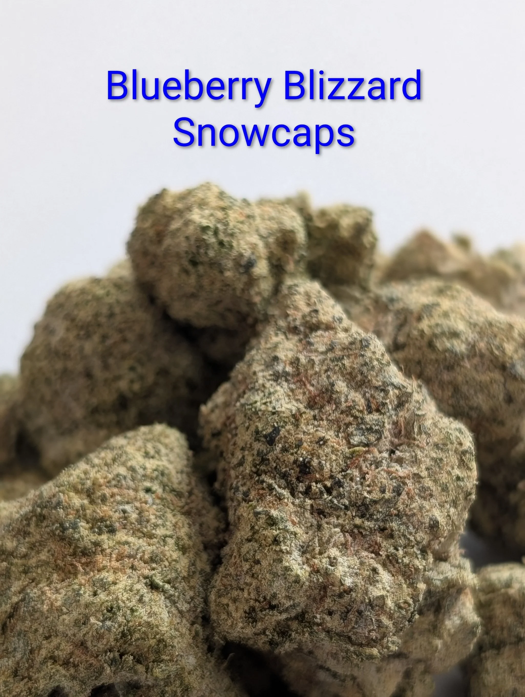 Bluebberry Blizzard Snowcaps 2.jpg