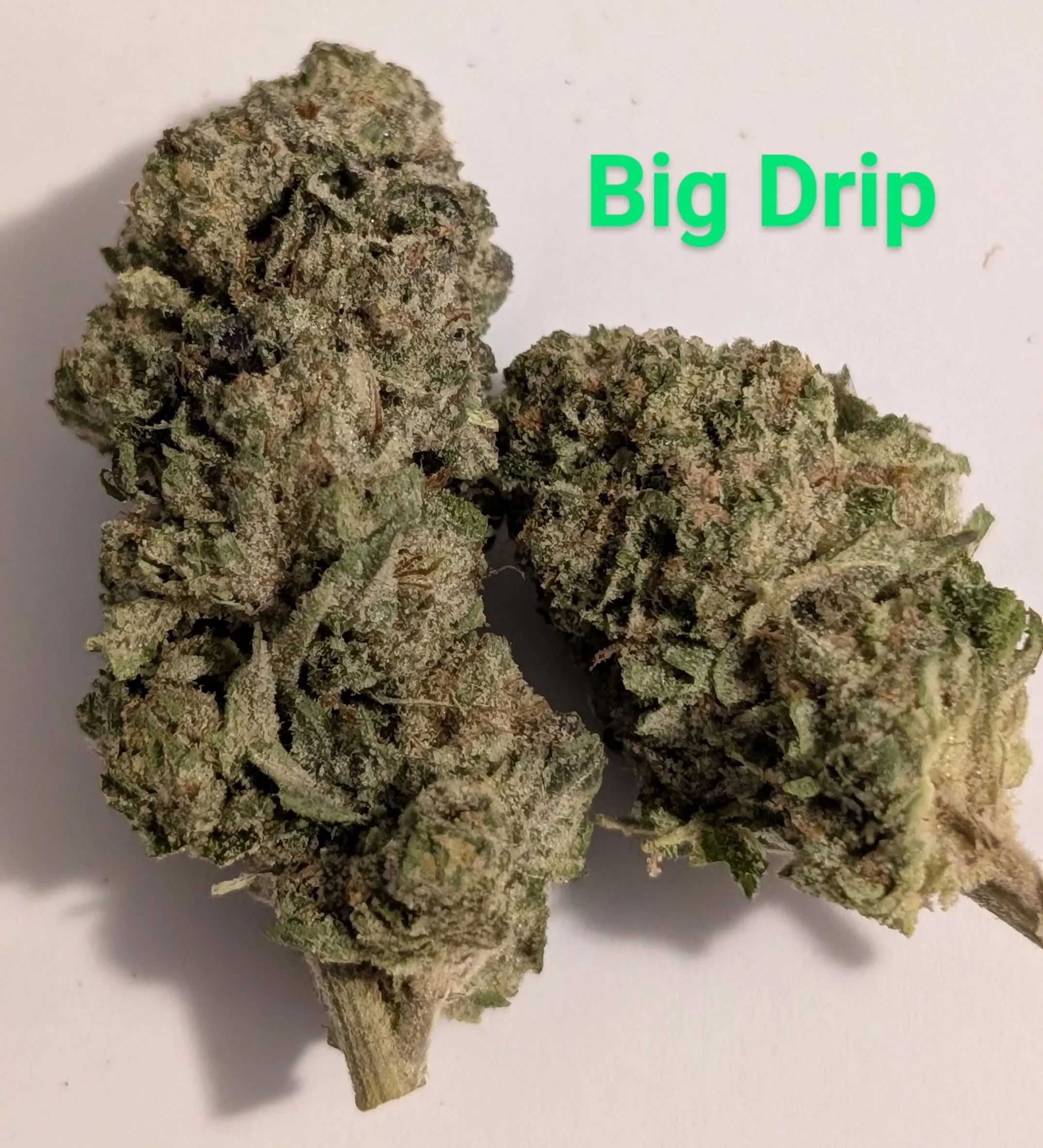 BIG DRIP - SIN CITY 1.jpg