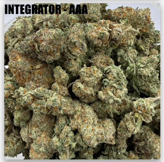 INTEGRATOR - MIDS