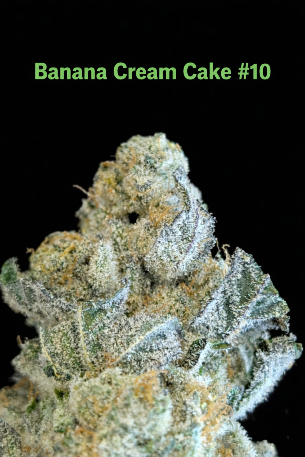 Fire Handler Exotics - Banana Cream Cake#10 4.png