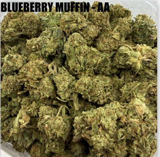 BLUEBERRY MUFFIN- CHEAPS