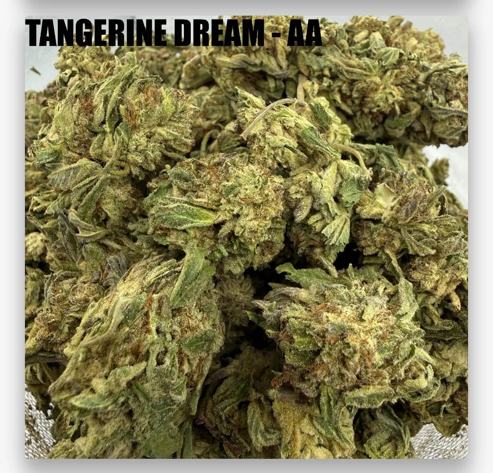 TANGERINE DREAM - CHEAPS