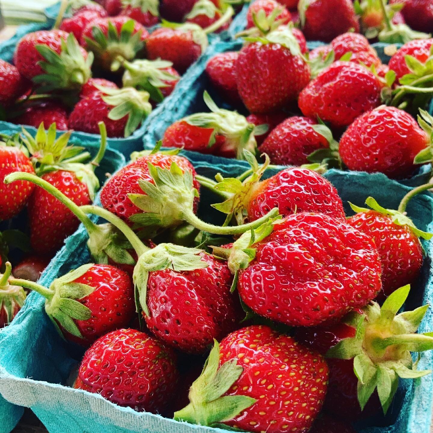 Come and get them @sebastopolfarmersmarket ! 🍓