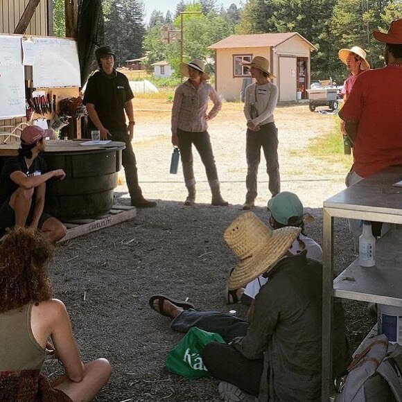 Such a pleasure hosting the students from @agroecologycommons Bay Area Farmer to Farmer Teaching program amd collaborating with @radicalfamilyfarms and @farmerthea this past weekend! 📷 @radicalfamilyfarms