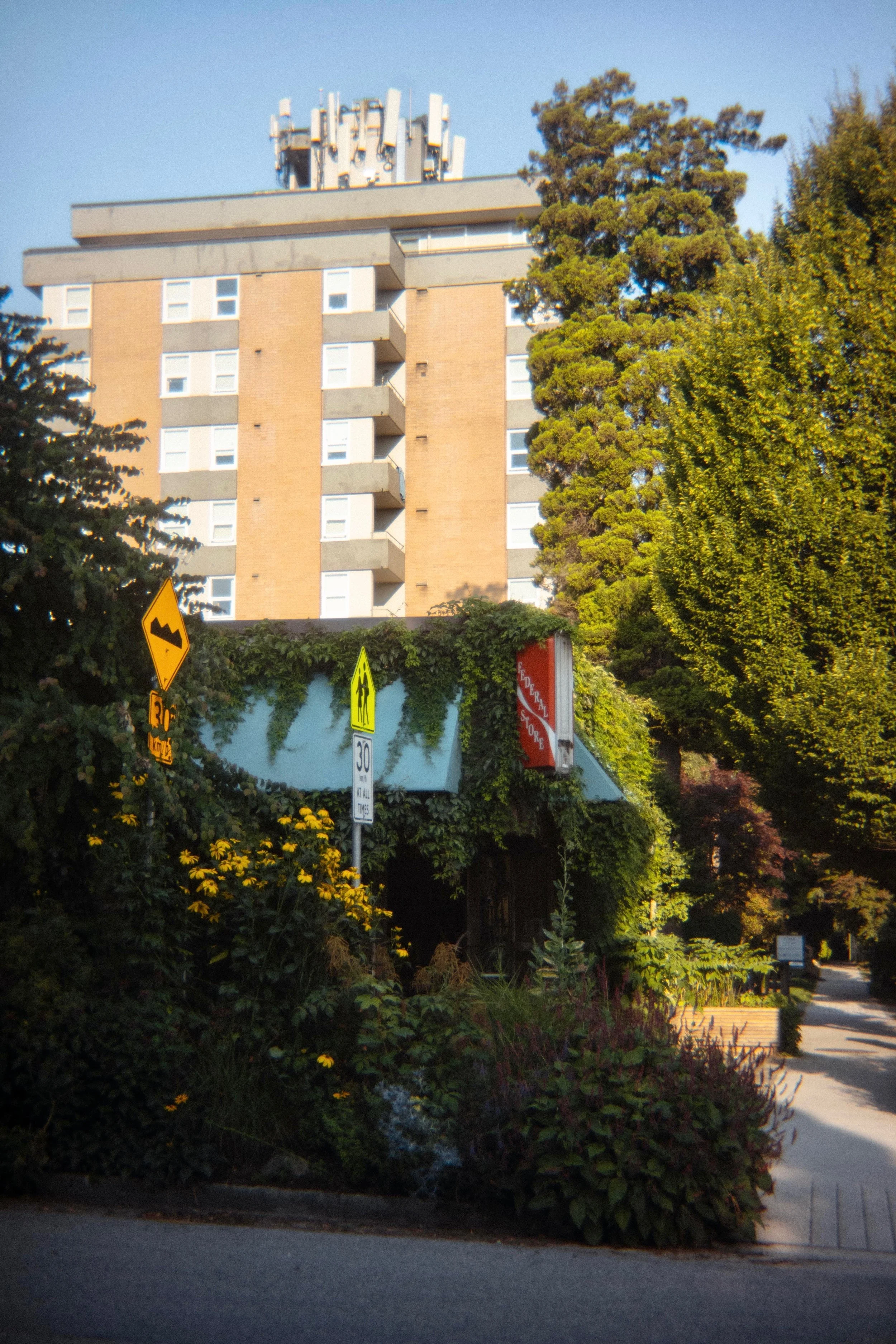 Vancouver's Villages Plan: A Decade in the Making