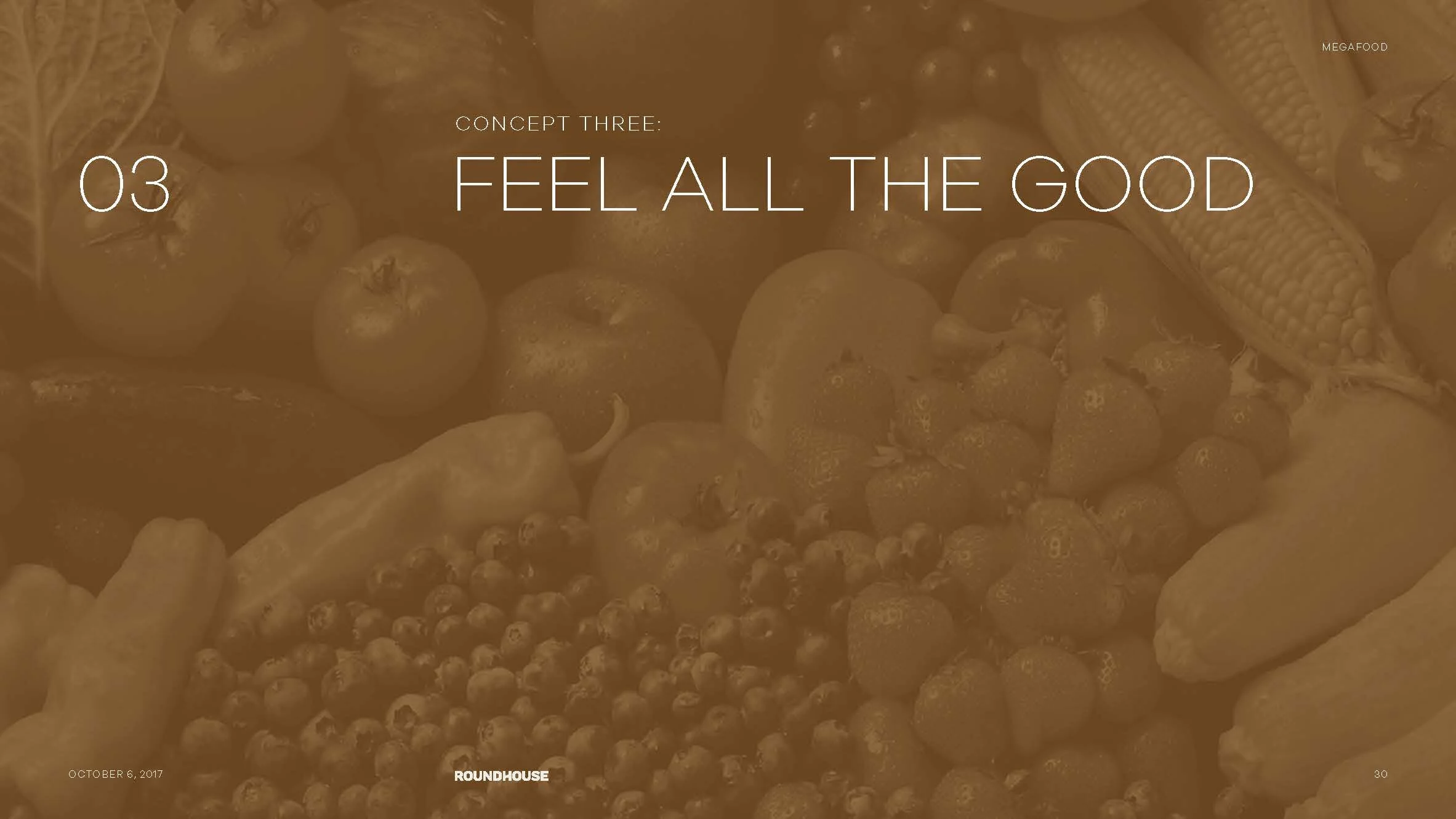 ROUNDHOUSE-MegaFood_Presentation_R1 copy_Page_16.jpg