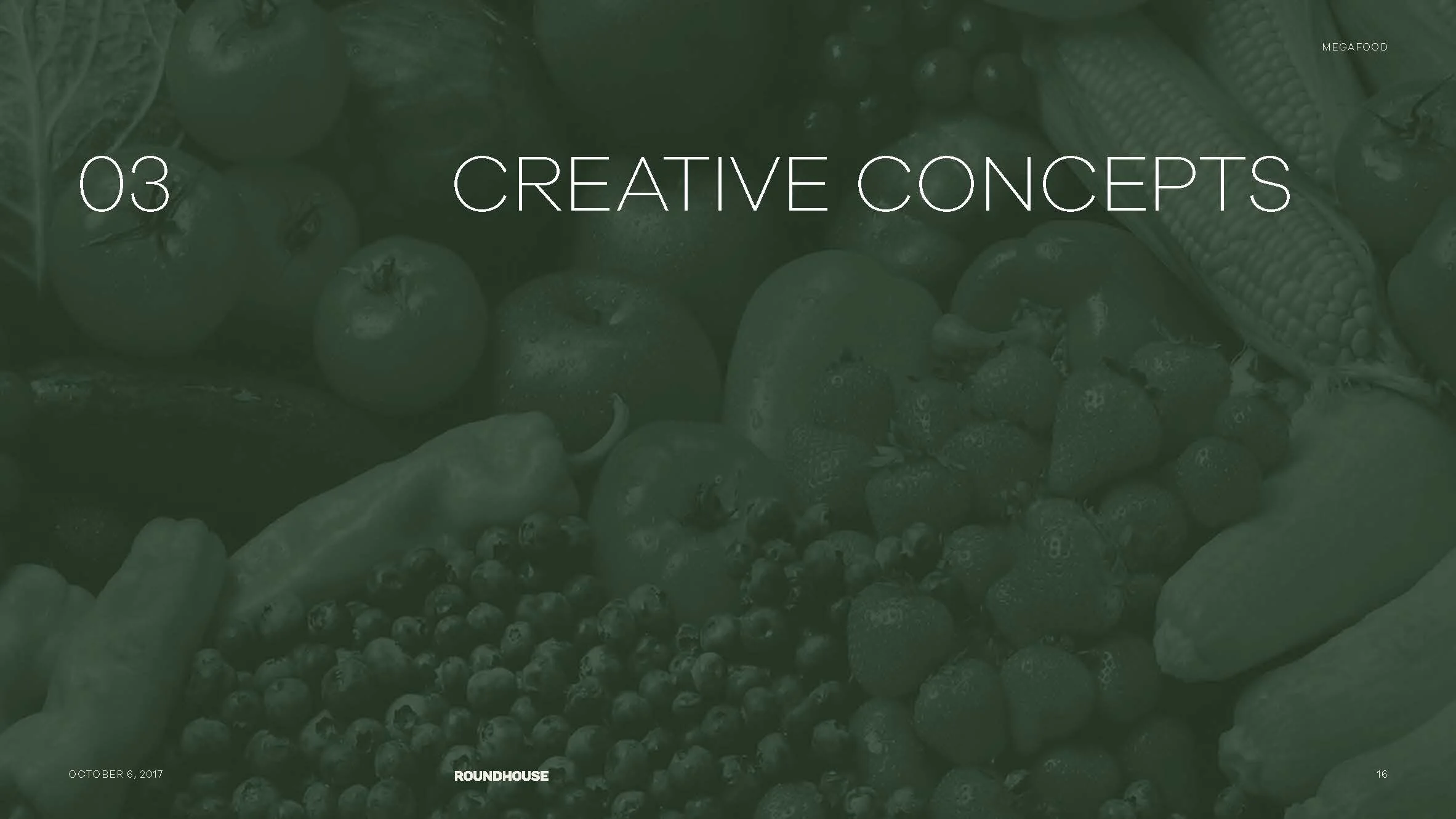 ROUNDHOUSE-MegaFood_Presentation_R1 copy_Page_02.jpg