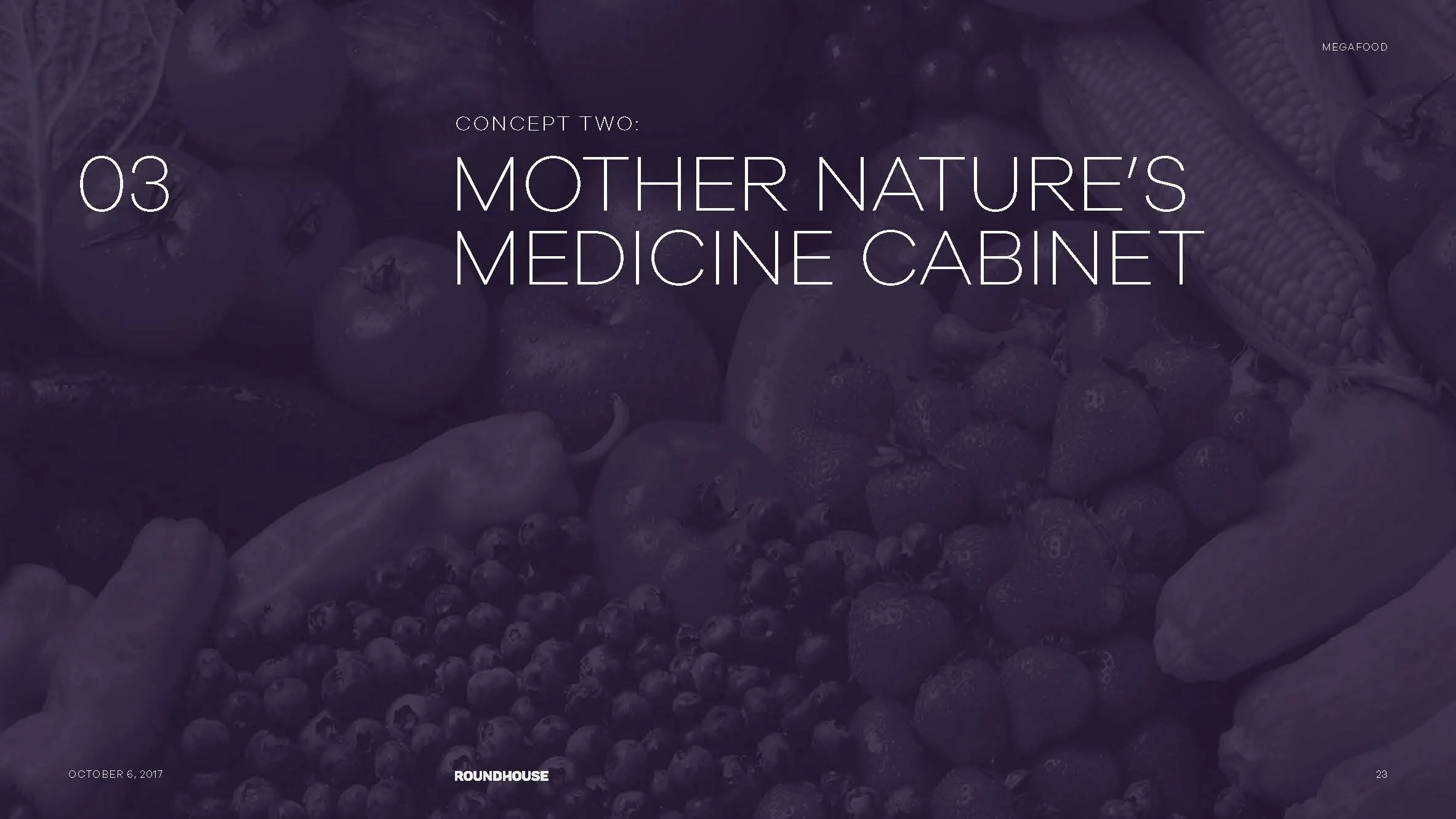 ROUNDHOUSE-MegaFood_Presentation_R1 copy_Page_09.jpg