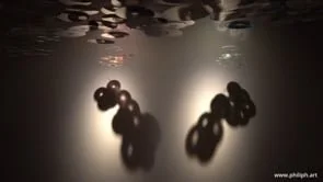 The Texture of Memory