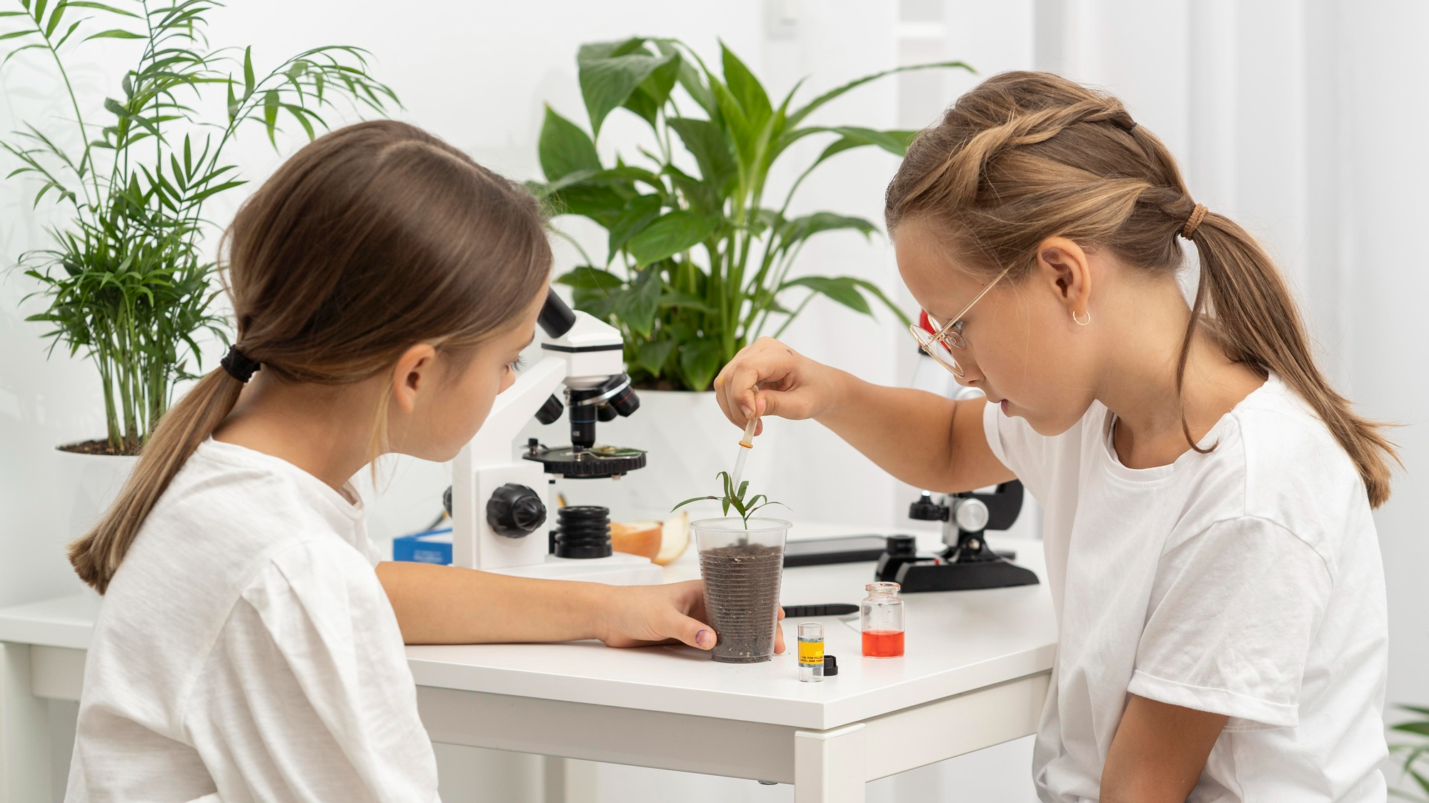 How AP Biology Tutoring in McLean VA Helps Students Understand the Lab Concepts