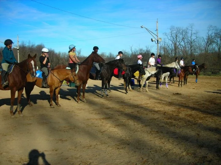 Childrens horse riding lessons near me