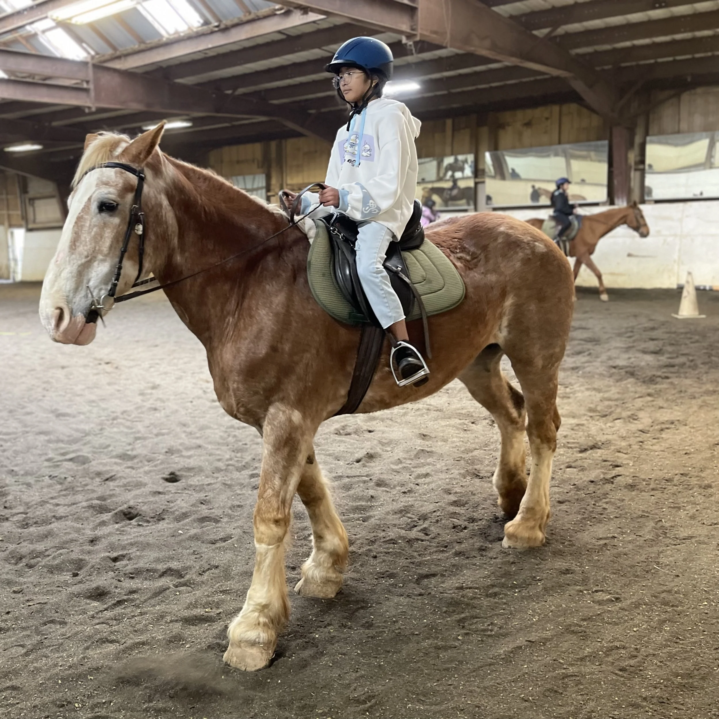 A young girl wearing a blue helmet, glasses, a white hoodie, and white pants rides a large, light brown and white horse inside an indoor riding arena. The horse has a green saddle pad and black saddle.