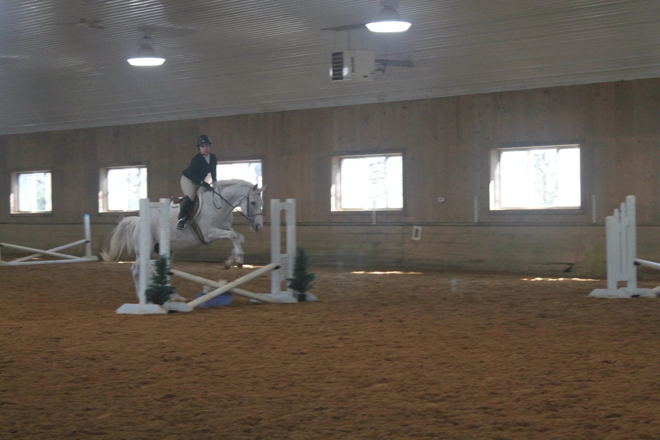 A person riding a white horse jumps over an obstacle in an indoor equestrian arena.