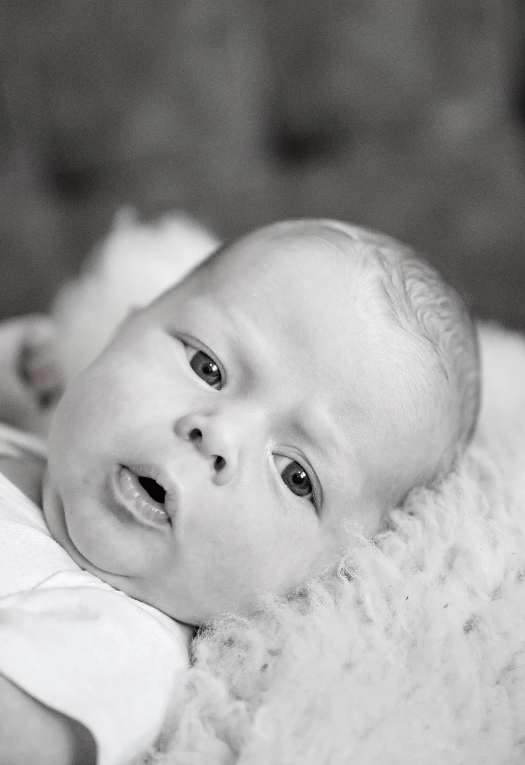 Henry OHearn 2025-69.jpg