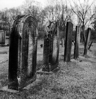 Sonnet 13: “Barren rage of death’s eternal cold!”