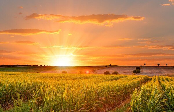 Sonnet 18: “Thy eternal summer shall not fade…”