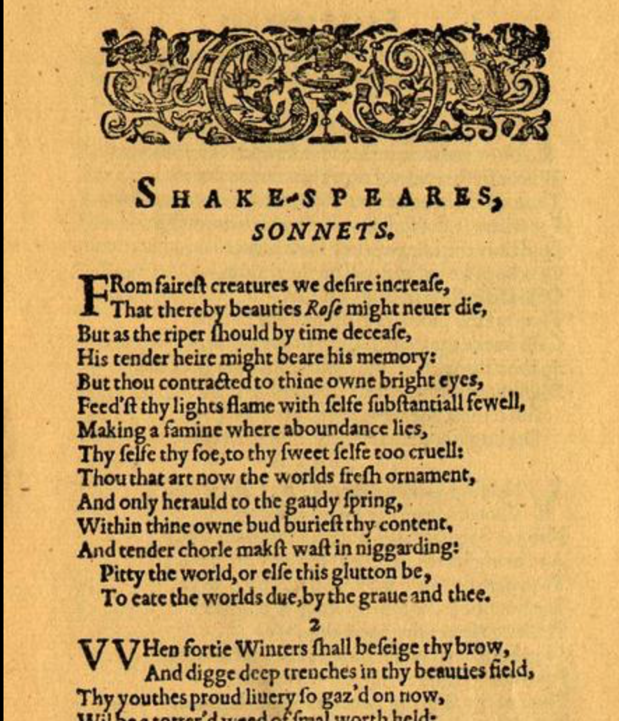 What is a sonnet?