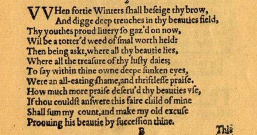 Sonnet notes 2