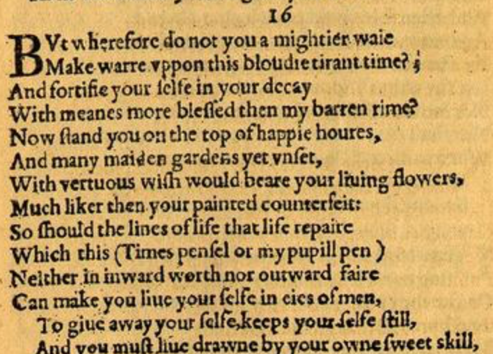 Sonnet notes 7