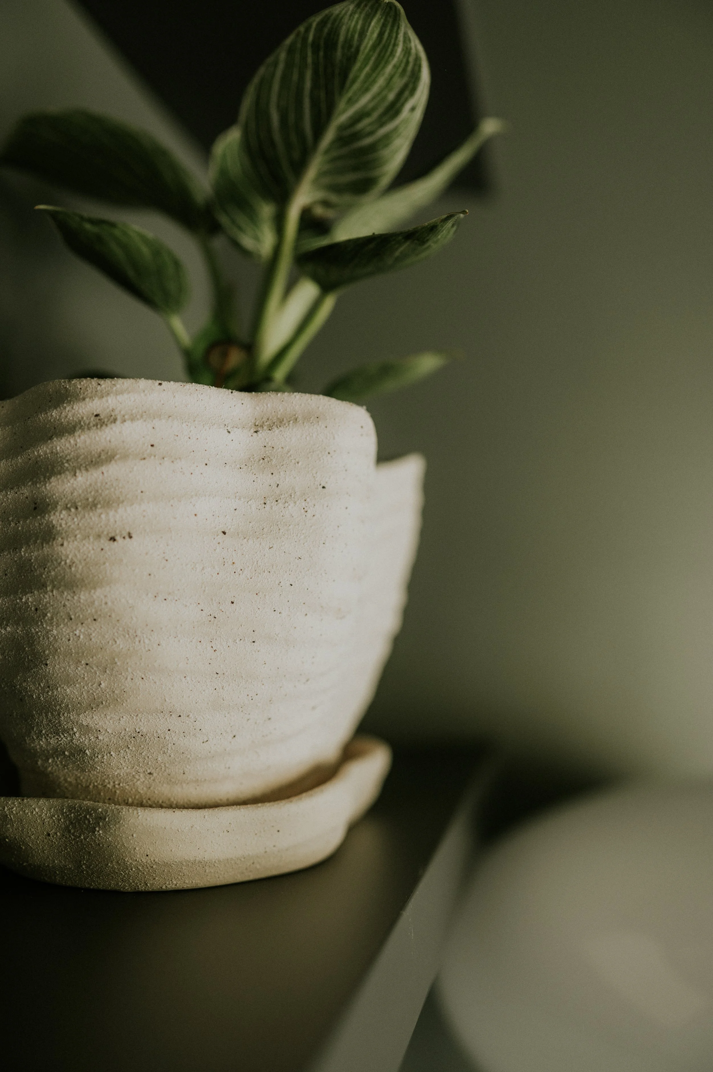Ceramic Planter