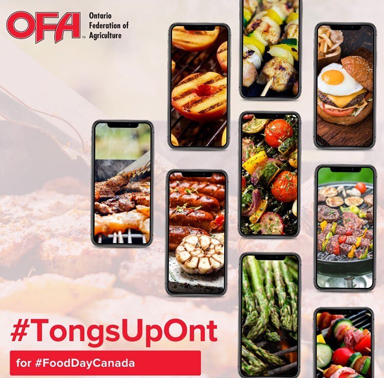 OFA's &ldquo;Tongs Up Ontario&rdquo; social media campaign challenges Canadians to source local ingredients for a BBQed lunch or dinner. Such as locally sourced meat, produce, baked goods, preserves, condiments, dairy products and beverages. 

On Jul