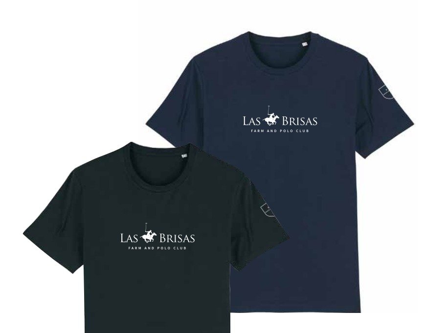 MENS t-shirt - gray & navy.jpeg