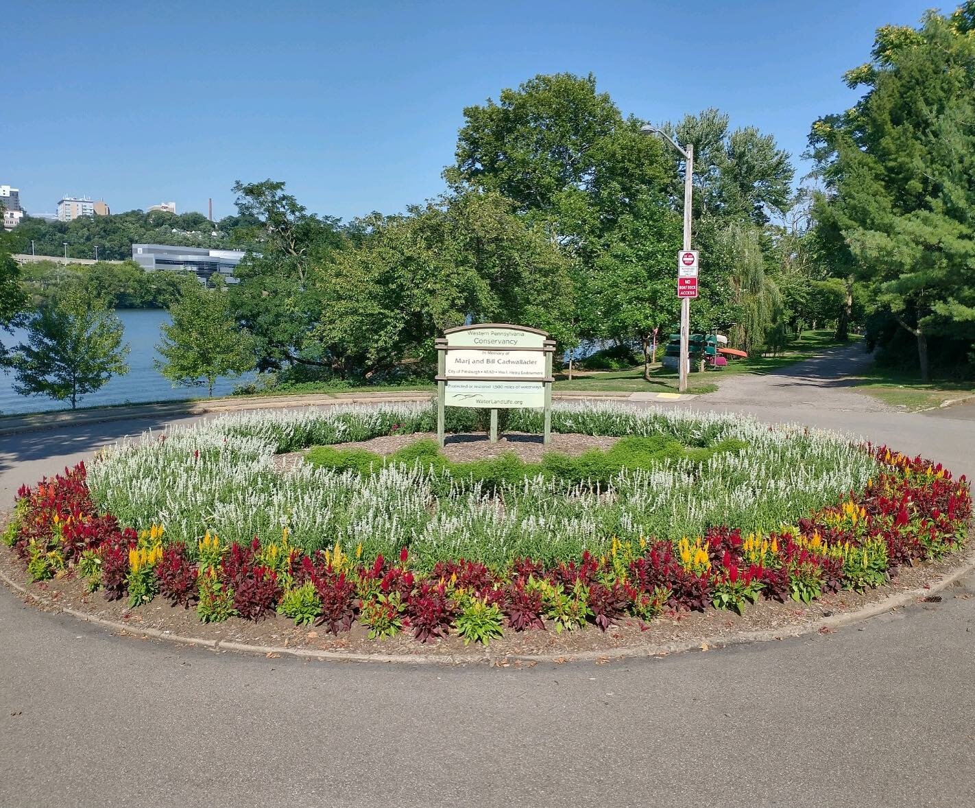 The beautiful flower garden Rhea planted in May is in full bloom🌼

If you&rsquo;re ever along the Riverfront Trail in Pittsburgh&rsquo;s South Side check it out!