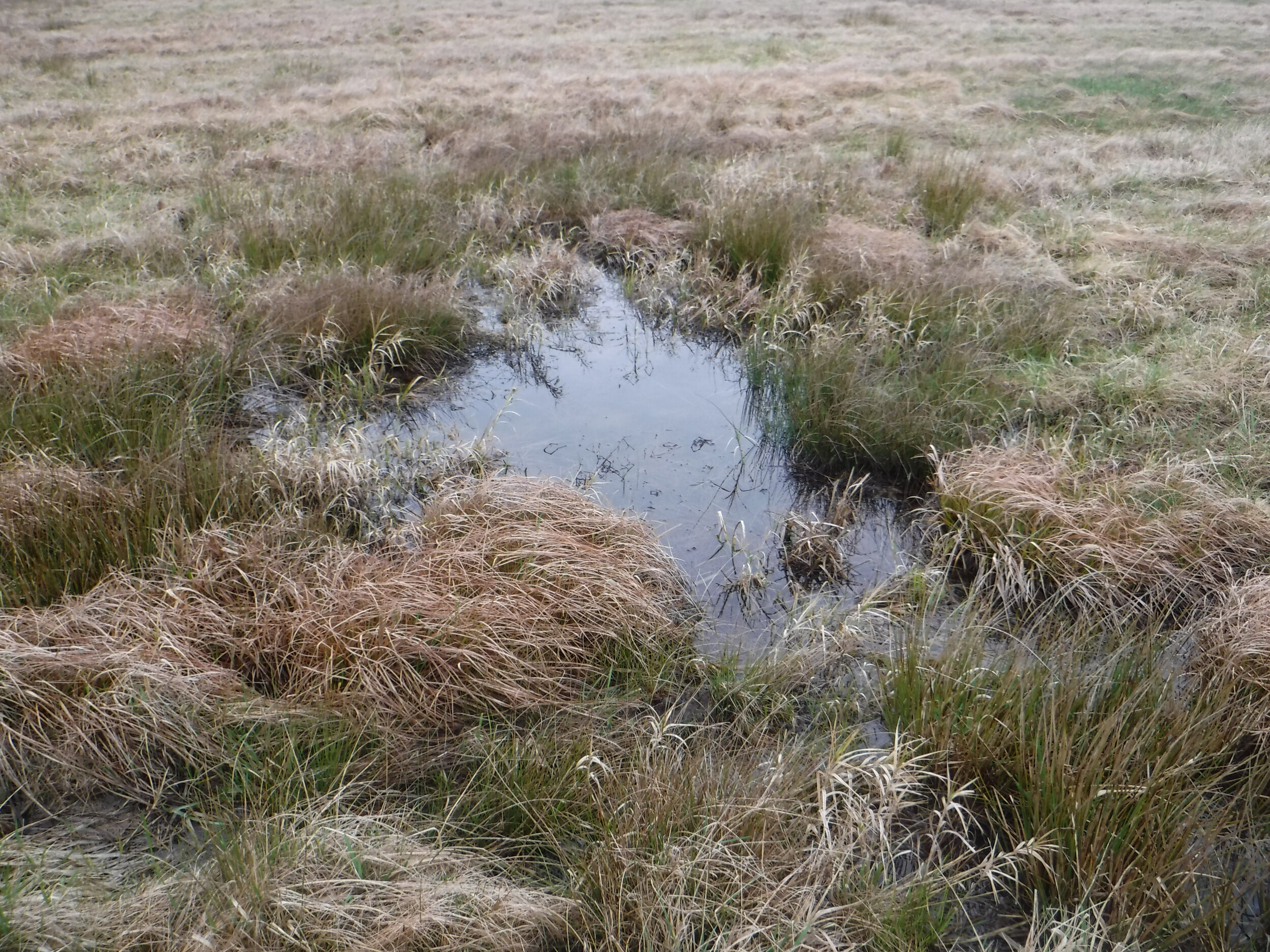 DSCF1804.JPG