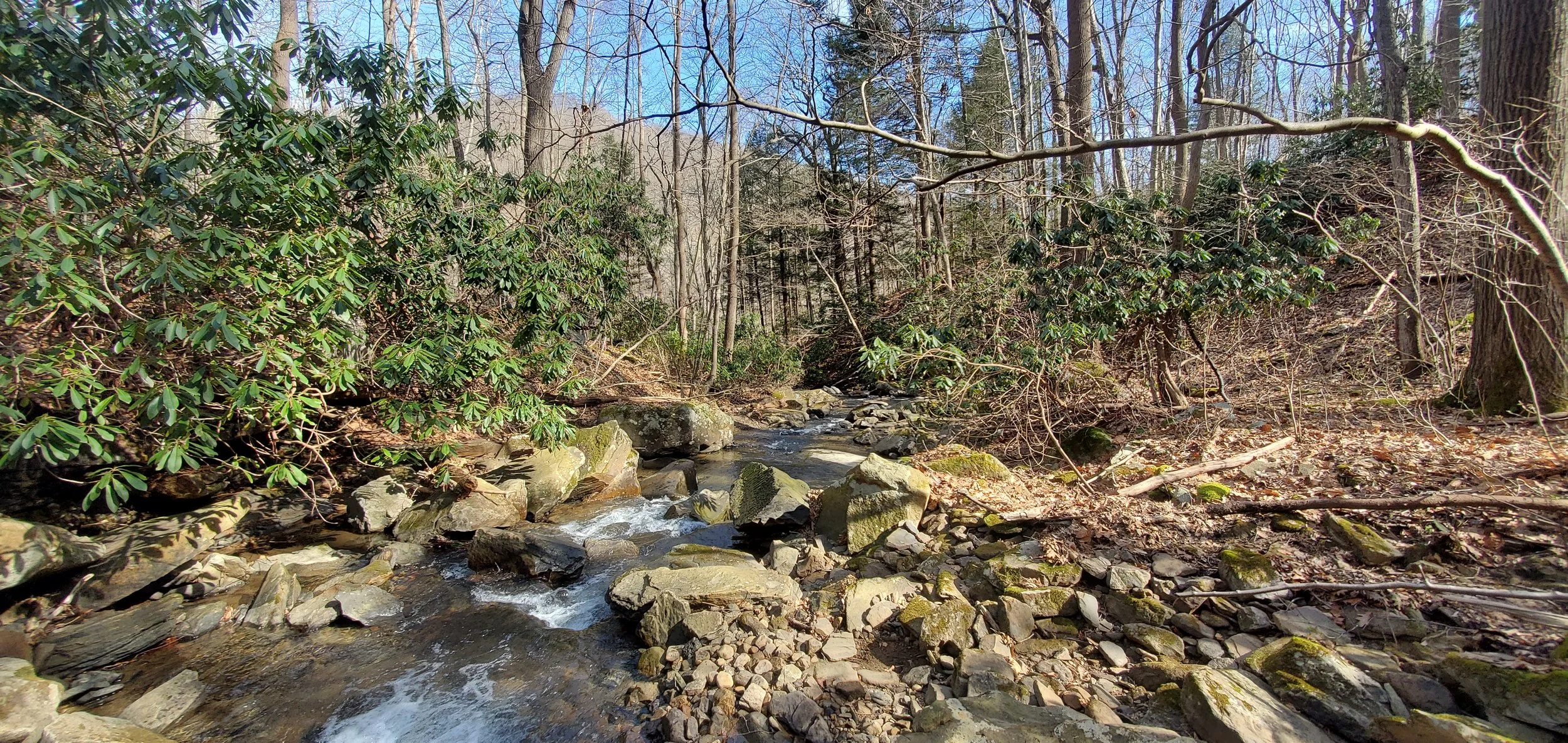 Looking downstream.jpg