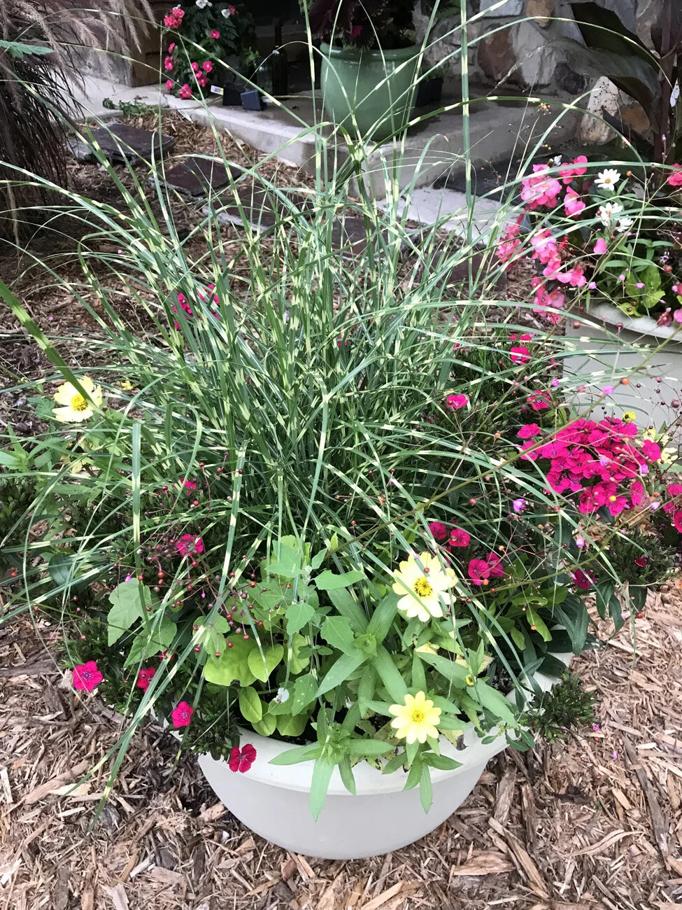 Custom Planter Designs — Farmington Greenhouse MN