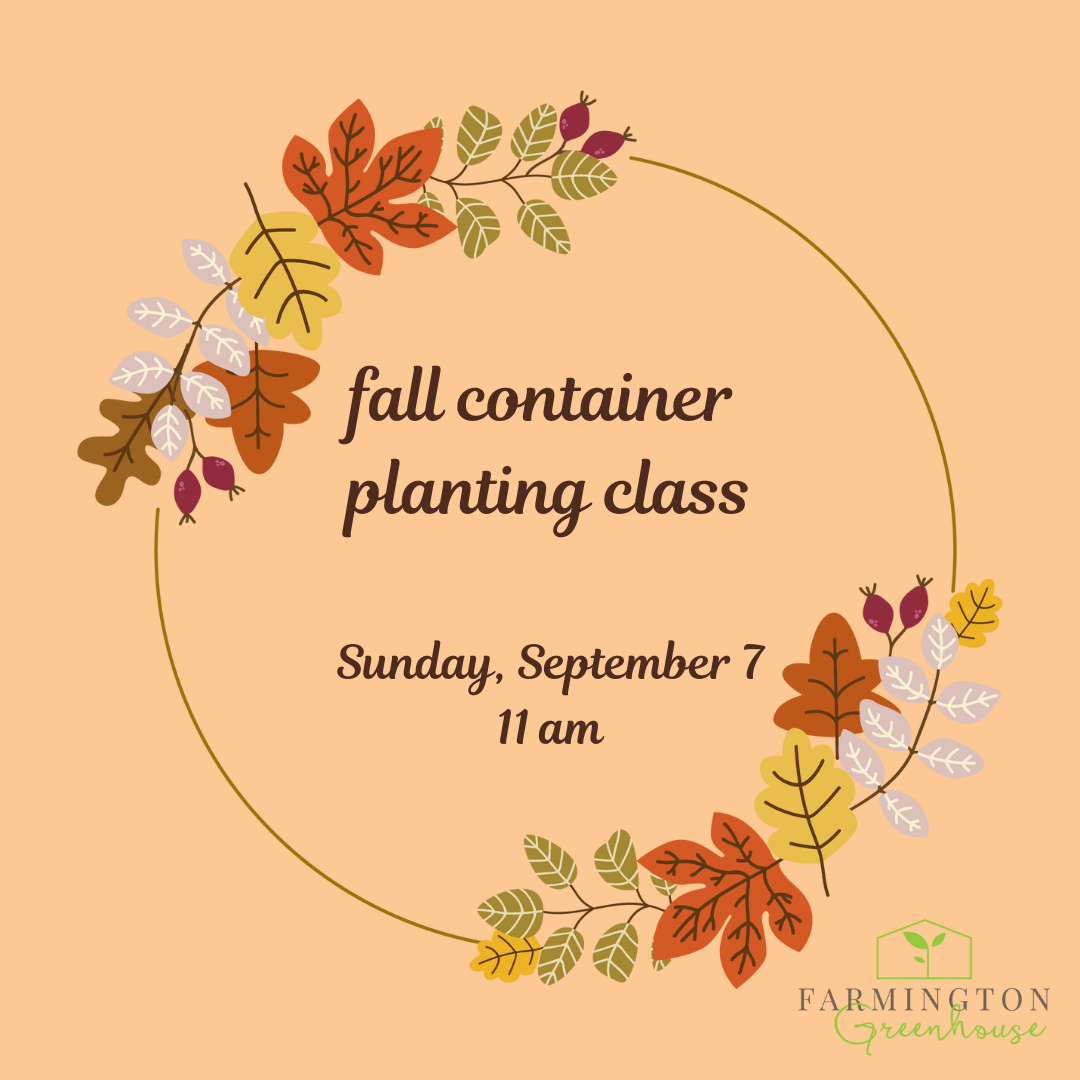 Fall Container Planting Party