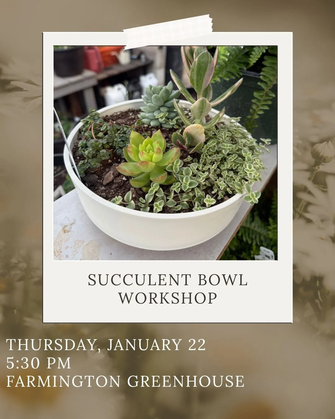 Succulent Bowl Workshop