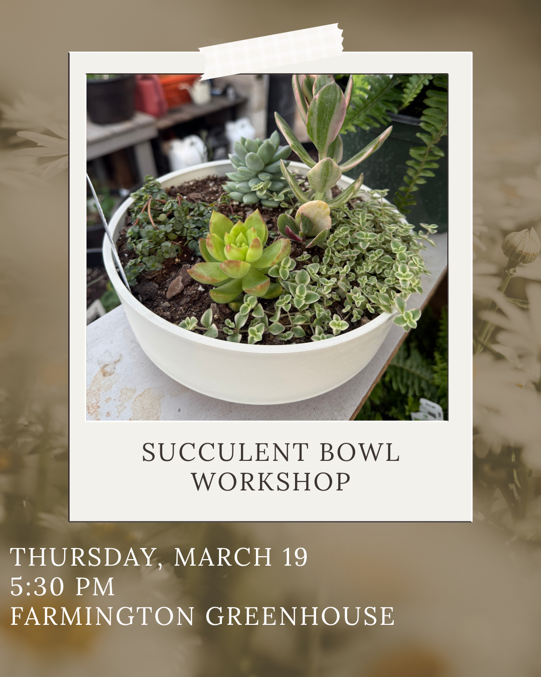 SOLD OUT: Succulent Bowl Workshop