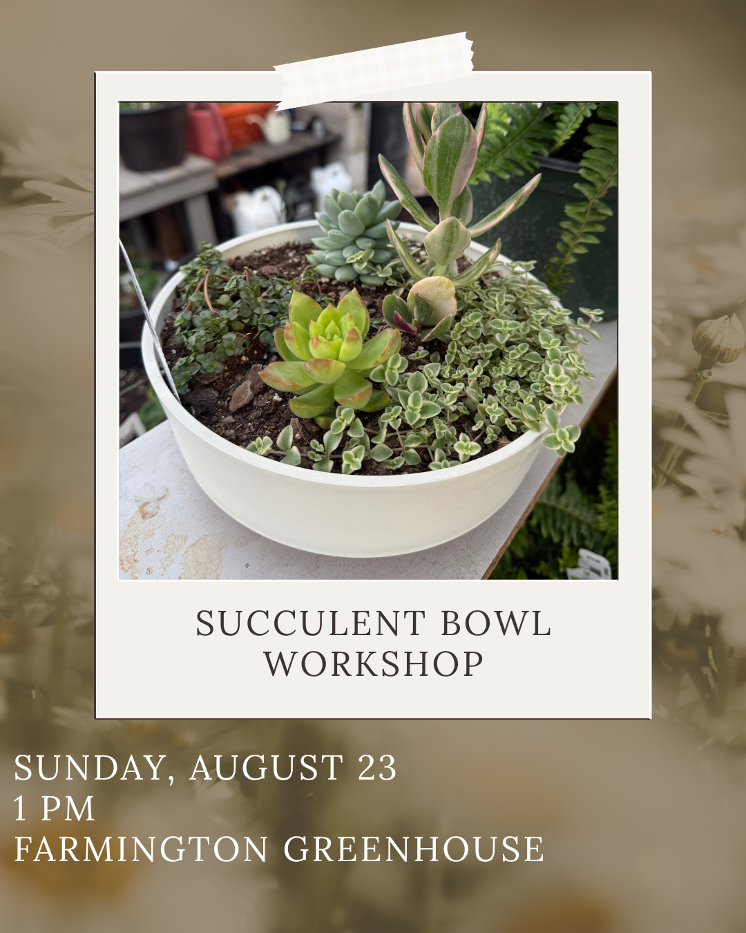 Succulent Bowl Workshop 