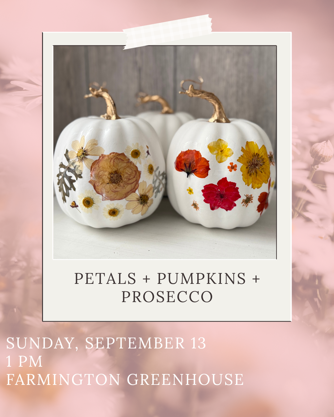 Petals + Pumpkins + Prosecco 
