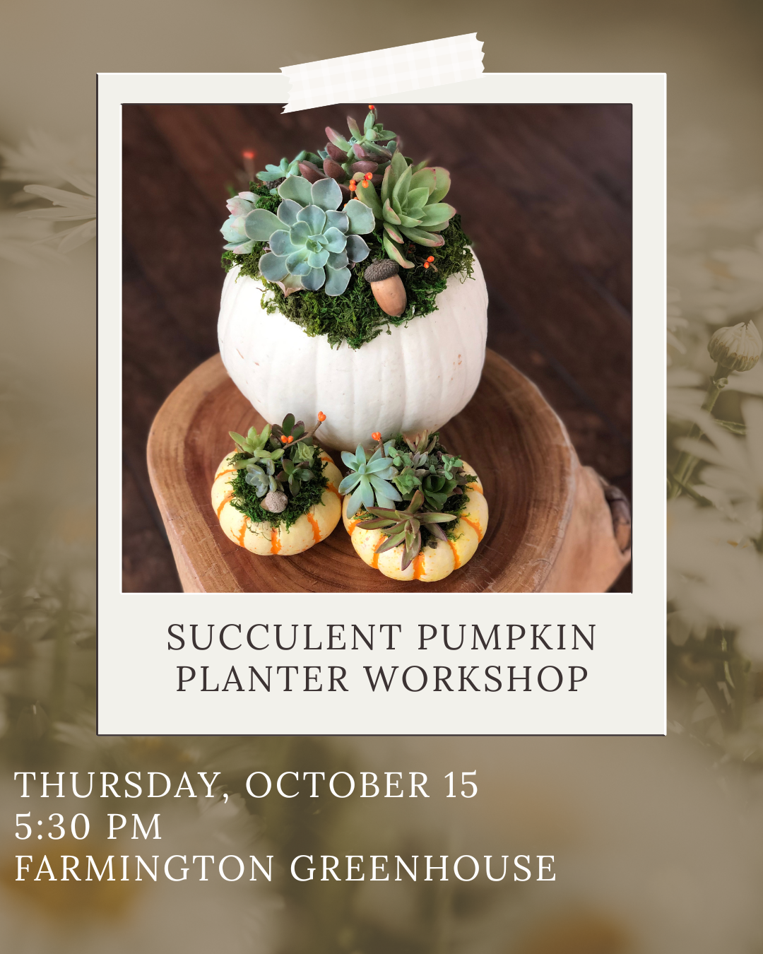 Succulent Pumpkin Planter Workshop