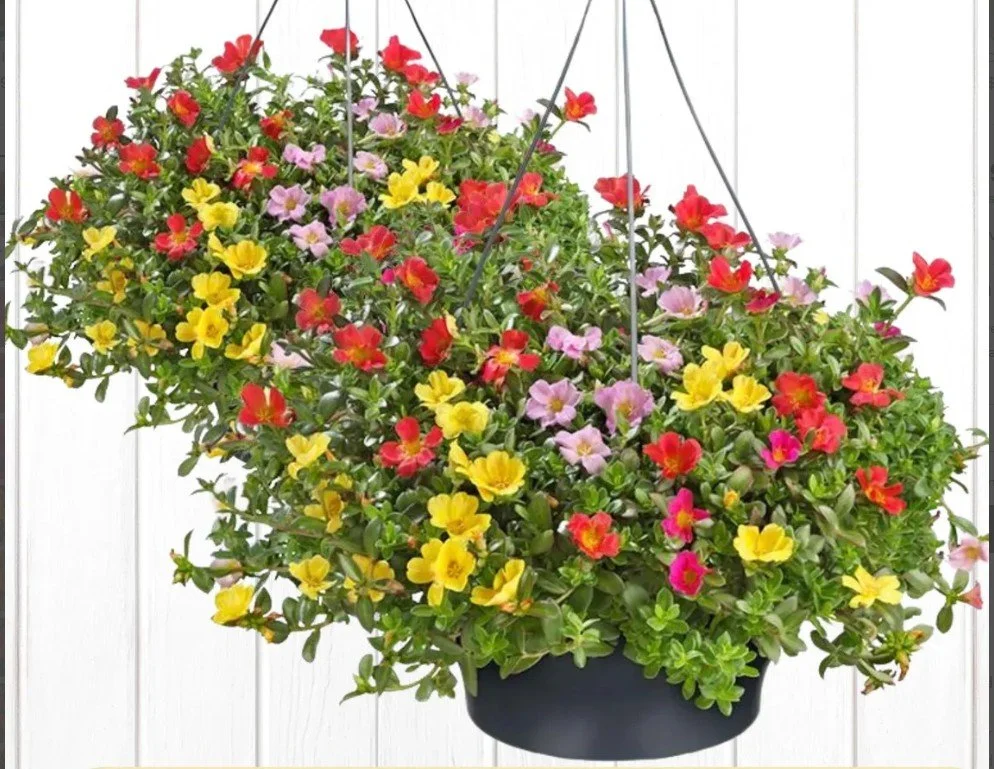 Screenshot 2026-03-08 205147.jpg