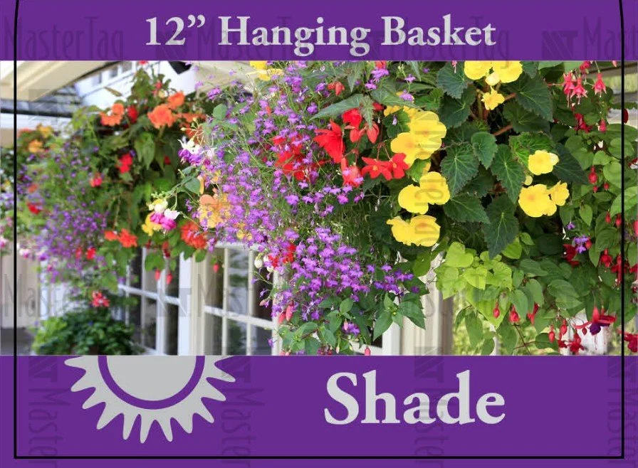 Screenshot 2026-03-08 205352.jpg