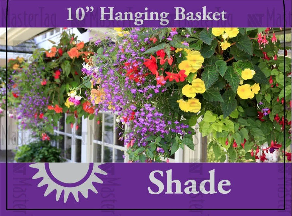 Screenshot 2026-03-07 224145.jpg