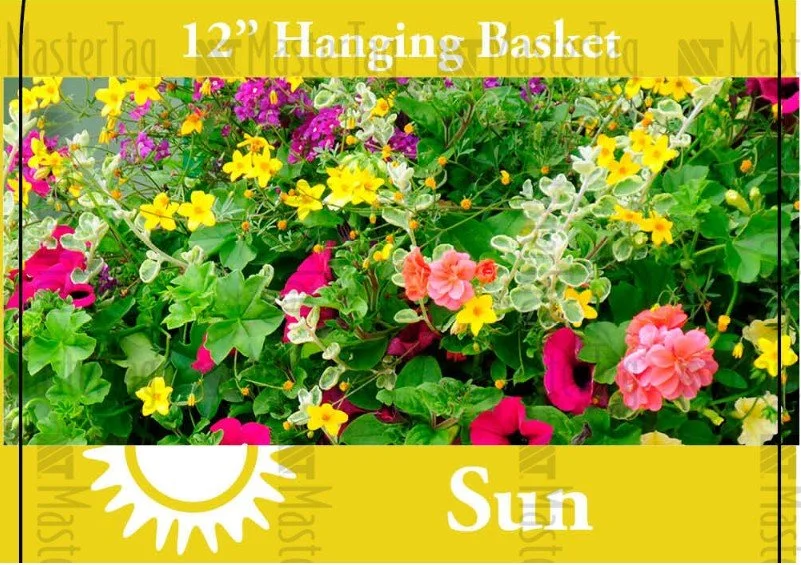 Screenshot 2026-03-08 205715.jpg