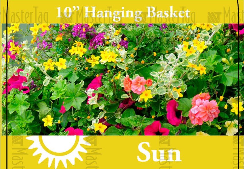 Screenshot 2026-03-08 205619.jpg