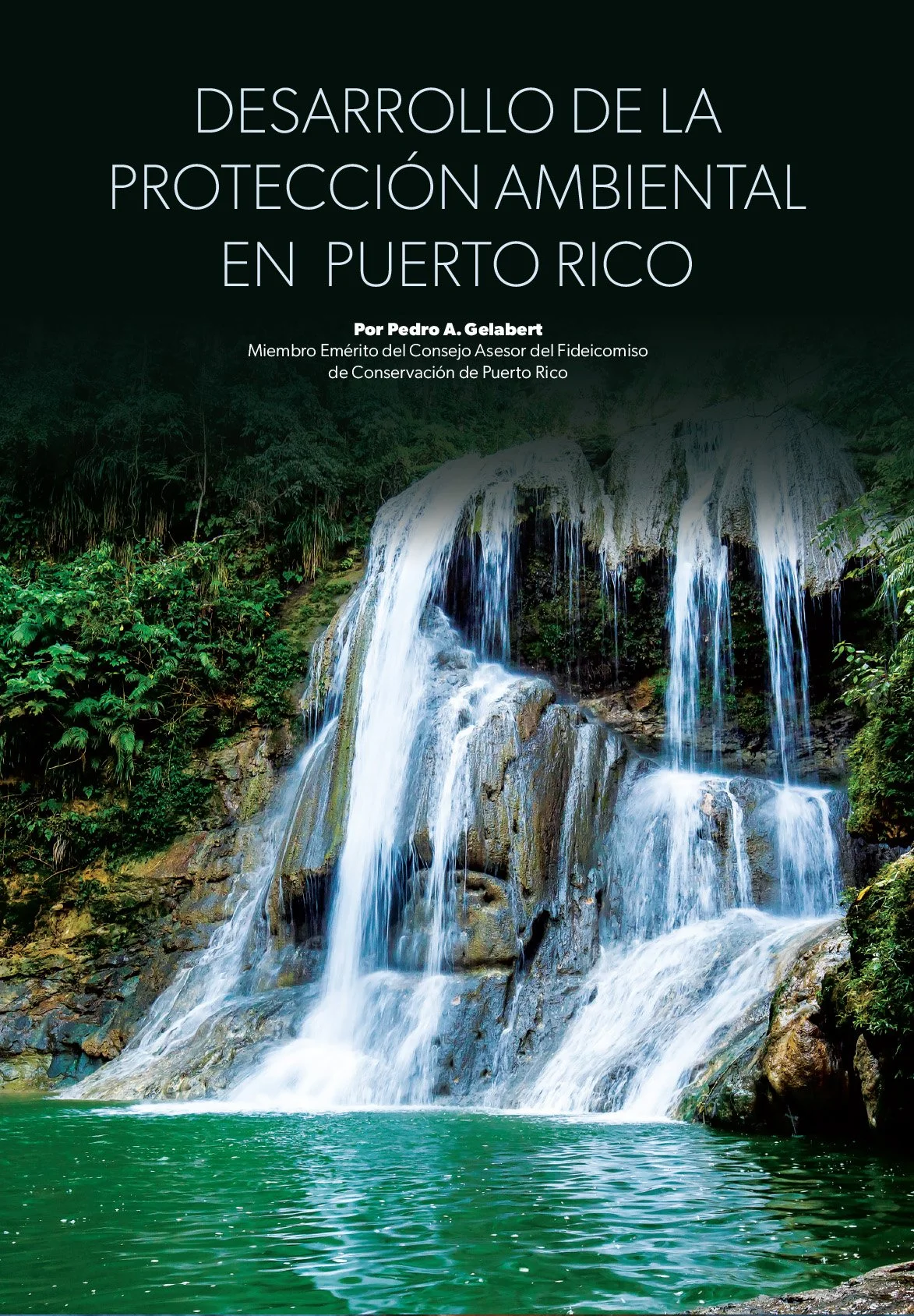 Desarrollo Book.jpg