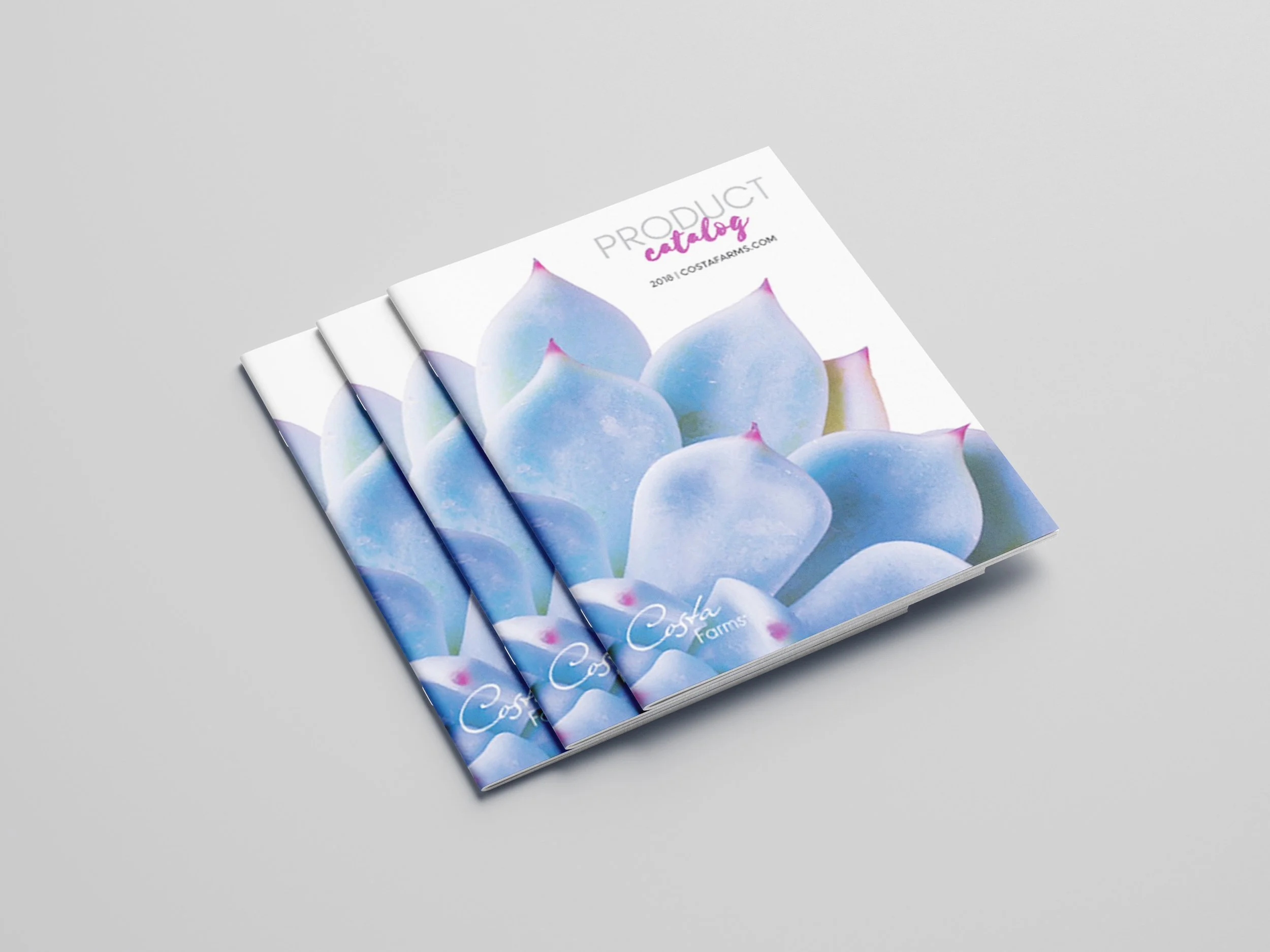 Costa Farms - Brand & Editorial Design