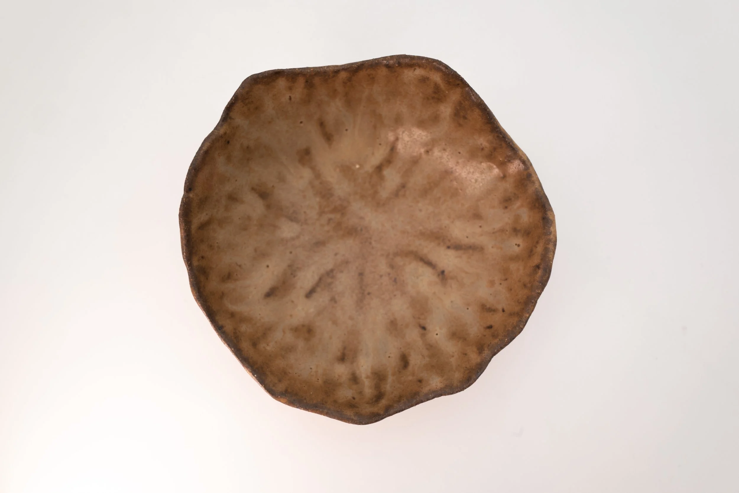L1280286.jpg