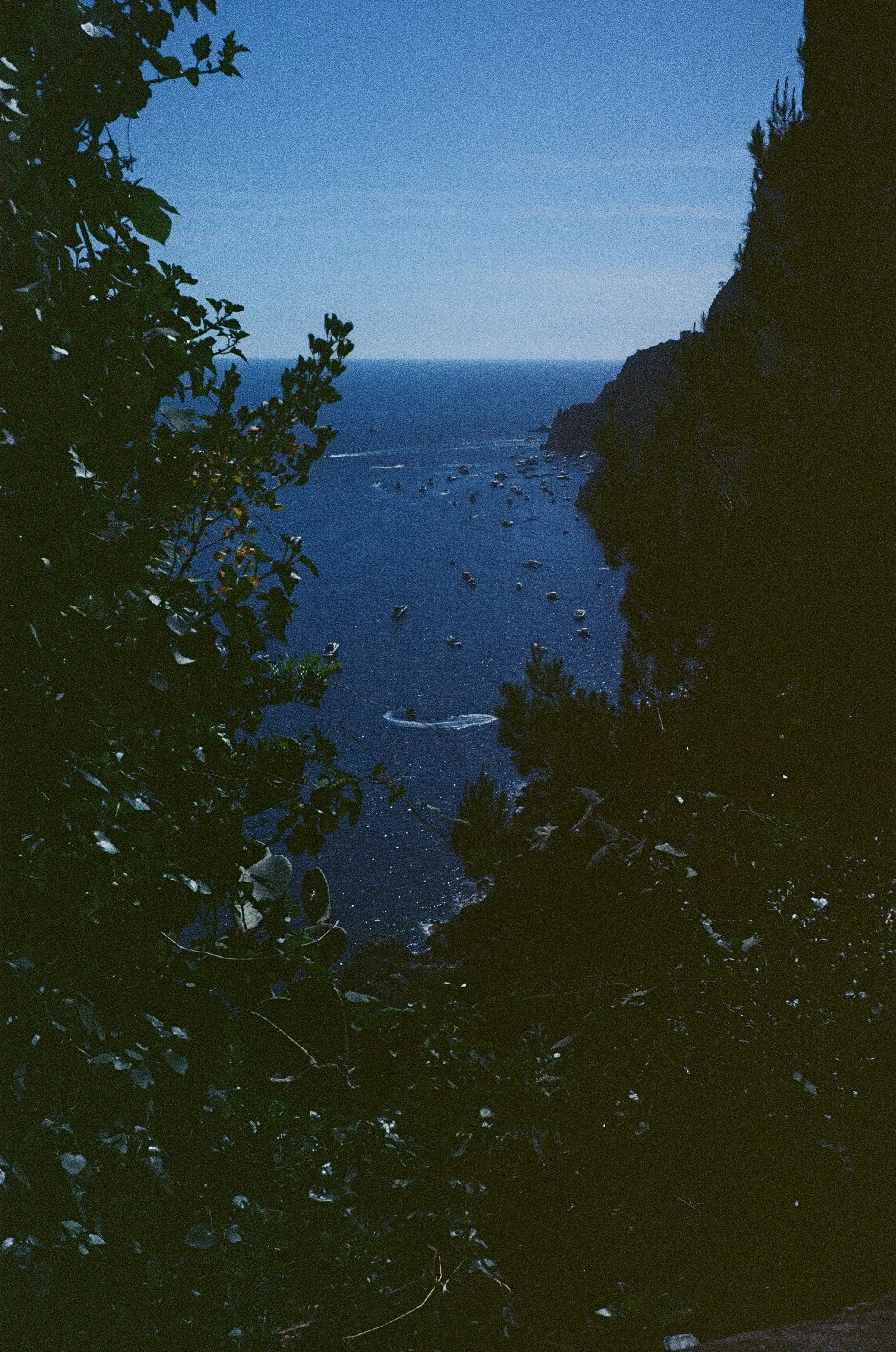 000032900024.jpg