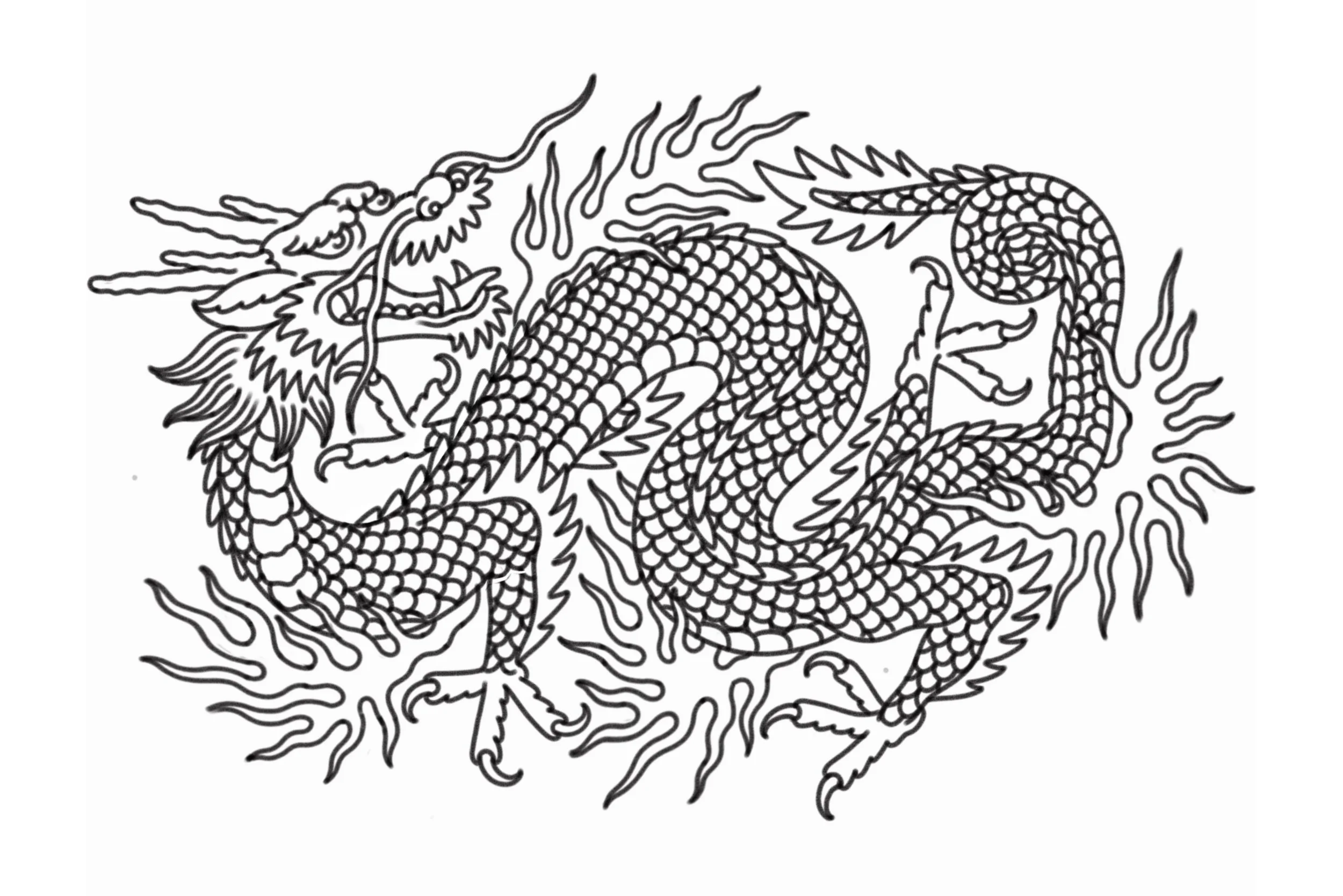 Large Dragon